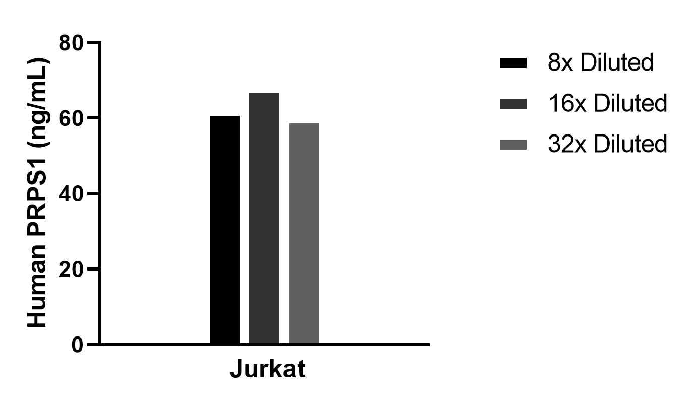 The mean PRPS1 concentration was determined to be 62.7 ng/mL in Jurkat cell extract based on a 1.2 mg/mL extract load.
