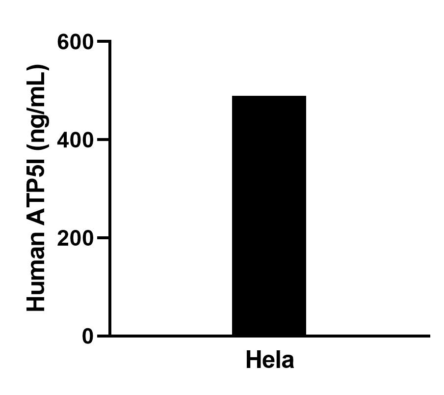 Sample test of MP02299-1