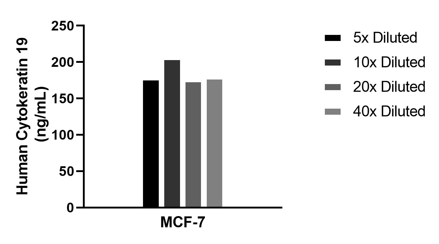 The mean Cytokeratin 19 concentration was determined to be 183.9 ng/mL in  MCF-7 cell extract based on a 1.2 mg/mL extract load.