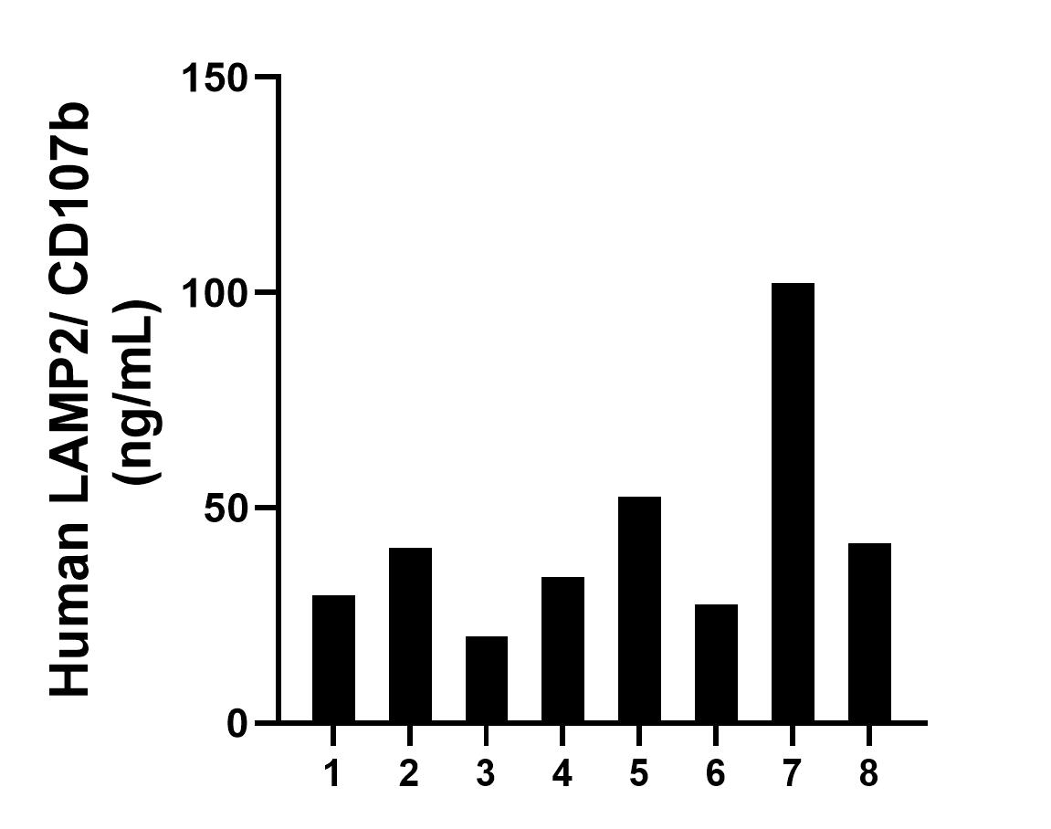 Plasma of eight individual healthy human donors was measured. The human LAMP2/ CD107b concentration of detected samples was determined to be 43.54 ng/mL with a range of 20.21 - 102.18 ng/mL. Sandwich ELISA sample test of MP02321-2