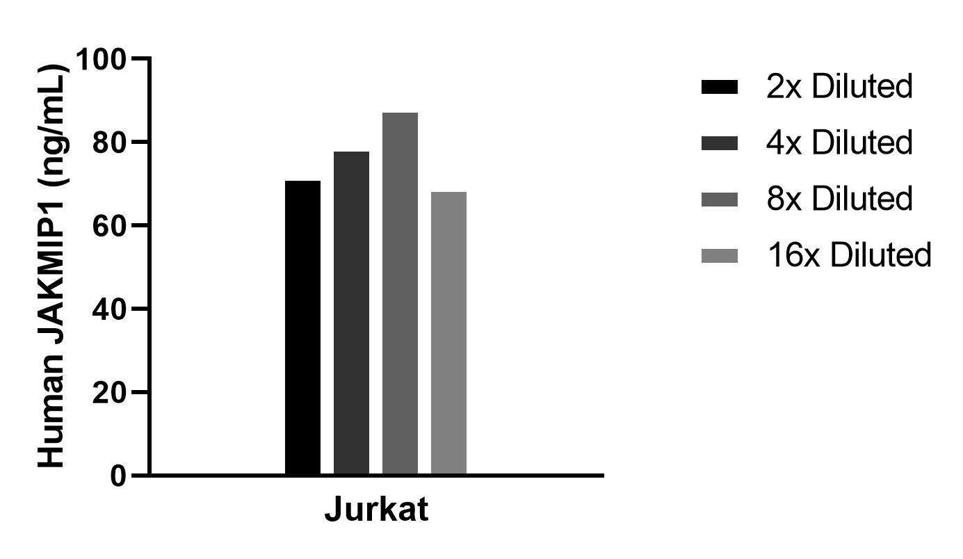 The mean JAKMIP1 concentration was determined to be 76.9 ng/mL in Jurkat cell extract based on a 1.2 mg/mL extract load.