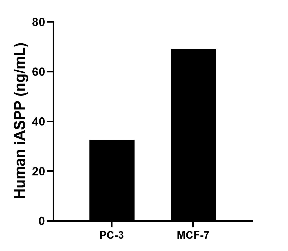 The mean iASPP concentration was determined to be 32.51 ng/mL in PC-3 cell extract based on a 2.0 mg/mL extract load and 68.98 ng/mL in MCF-7 cell extract based on a 1.3 mg/mL extract load.	