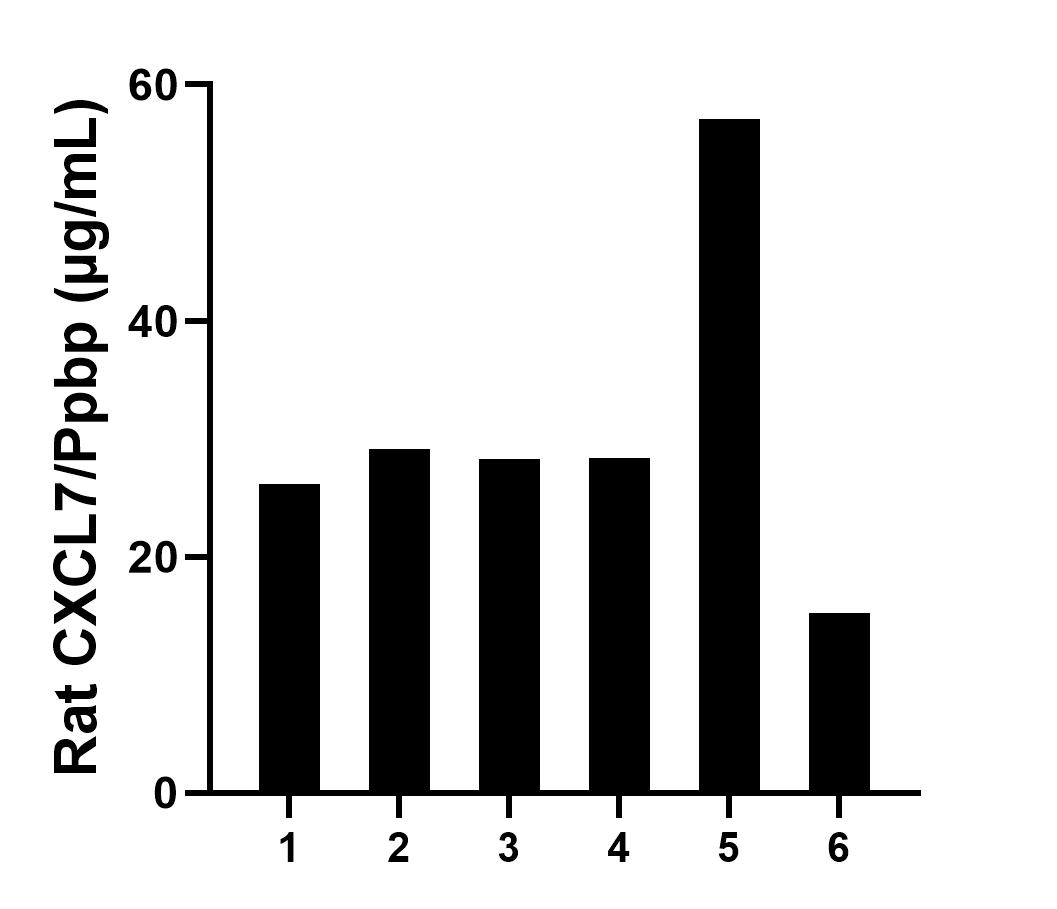 Serum of six rats was measured. The rat CXCL7/Ppbp concentration of detected samples was determined to be 30.70 µg/mL with a range of 15.27 - 57.05 µg/mL. Sandwich ELISA sample test of MP02338-1