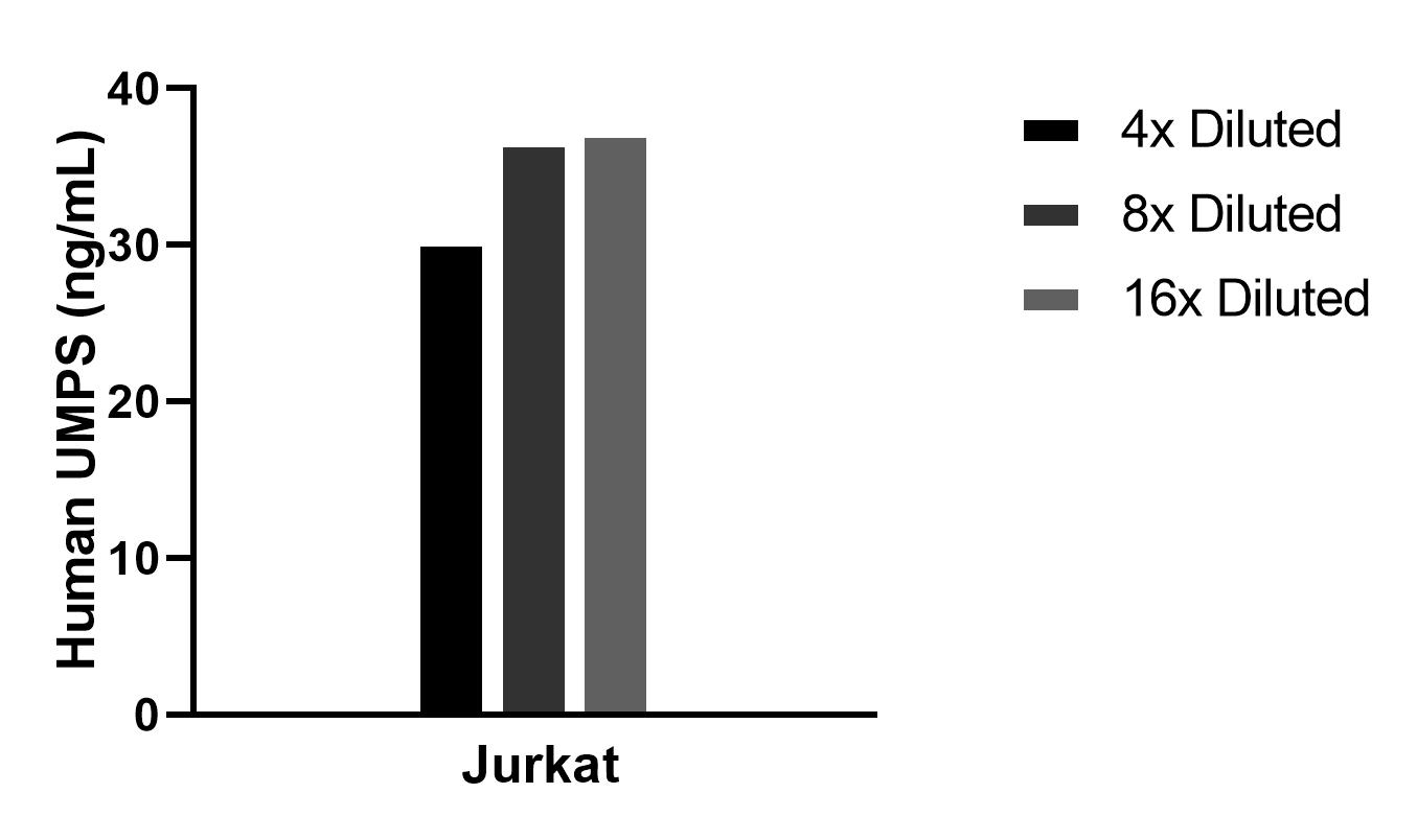 Sample test of MP02341-1