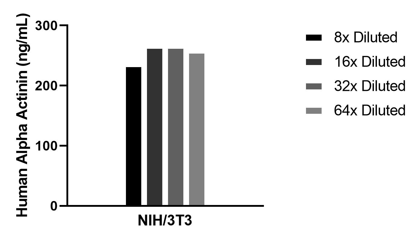 The mean Alpha Actinin concentration was determined to be 254.6 ng/mL in NIH/3T3 cell extract based on a 1.4 mg/mL extract load.