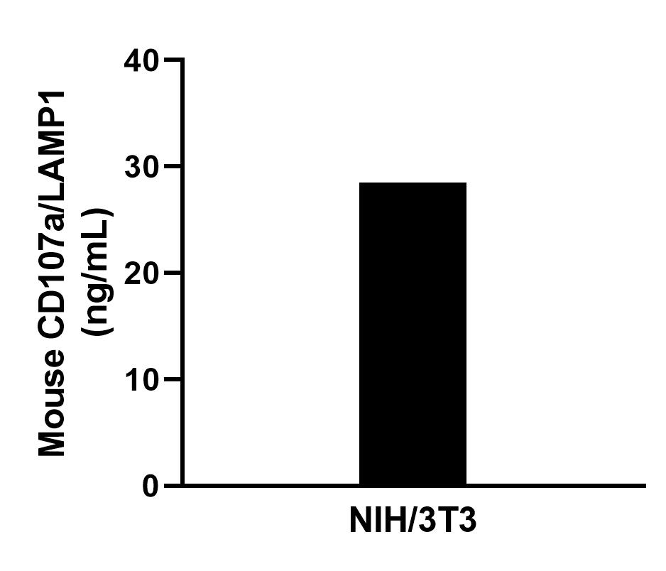 The mean CD107a / LAMP1 concentration was determined to be 28.9 ng/mL in NIH/3T3 cell extract based on a 1.4 mg/mL extract load.