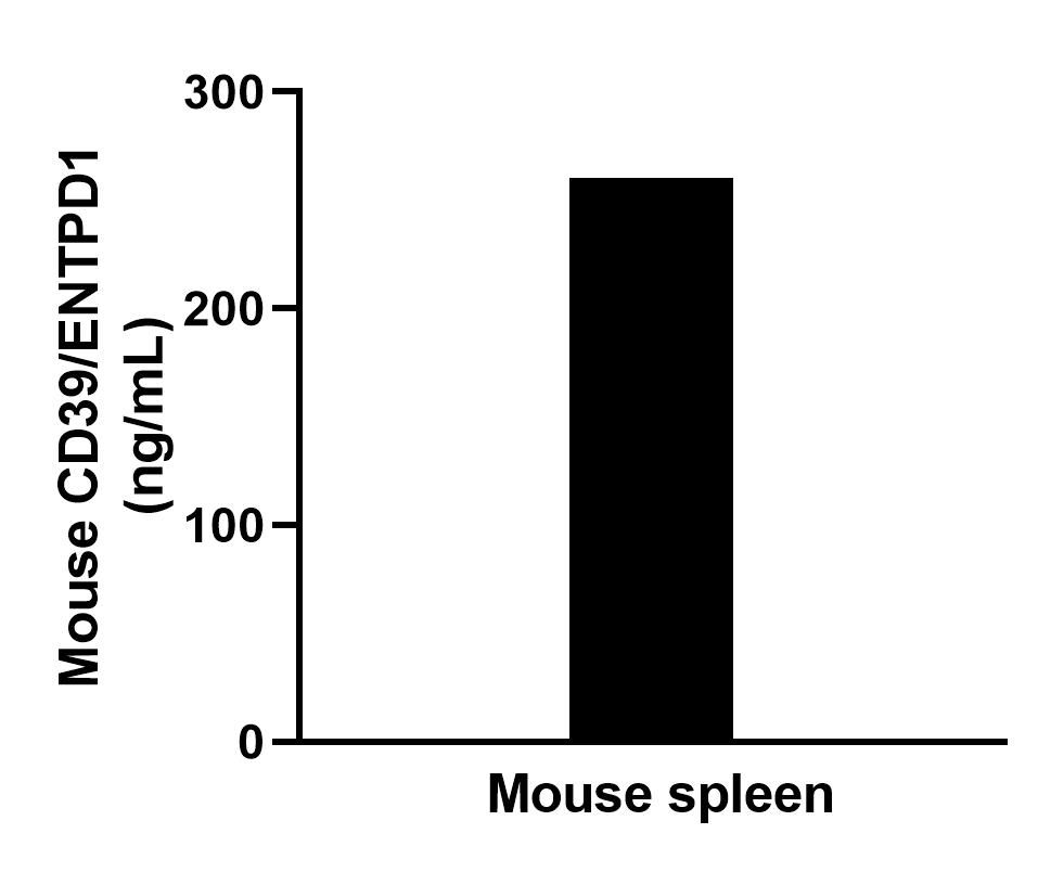 The mean CD39/ENTPD1 concentration was determined to be 263.3 ng/mL in  Mouse spleen tissue extract based on a 6.4 mg/mL extract load.