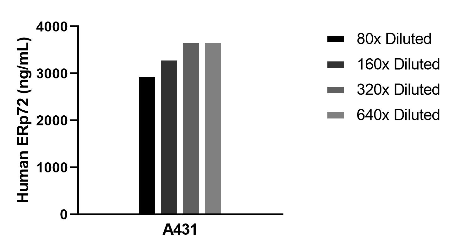 Sample test of MP02383-1