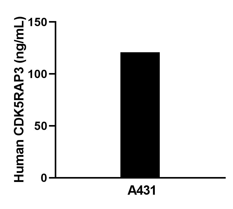 Cytometric bead array sample test of MP02384-1