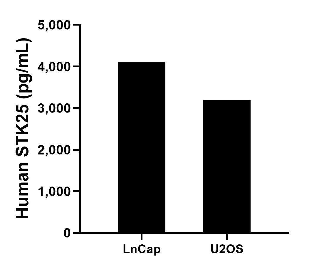 Sample test of MP02398-1