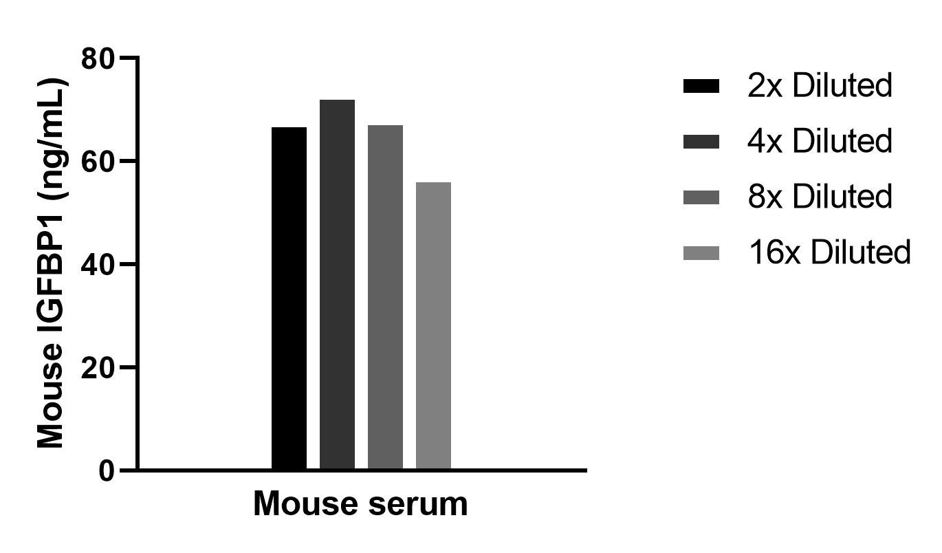The mean IGFBP1 concentration was determined to be 66.2 ng/mL in mouse serum.