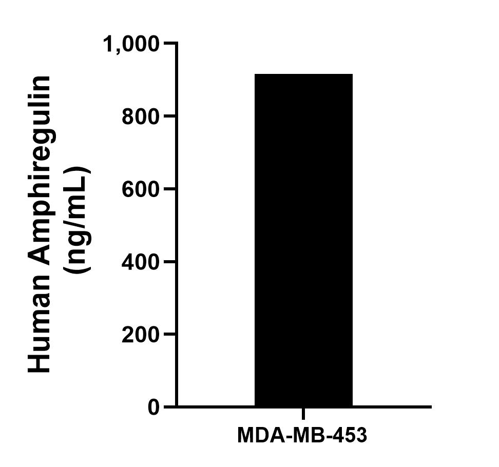 MDA-MB-453 were cultured in DMEM supplemented with 10% fetal bovine serum, 2.5 mM L-glutamine, 100 U/mL penicillin, and 100 μg/mL streptomycin sulfate. An aliquot of the cell culture supernate was removed, assayed for human Amphiregulin, and measured 915.6 pg/mL. Sandwich ELISA sample test of MP02406-2