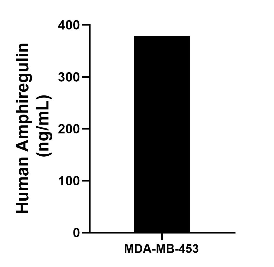 The mean Amphiregulin concentration was determined to be 378.9 ng/mL in MDA-MB-453 cell extract based on a 1.8 mg/mL extract load. Sandwich ELISA sample test of MP02406-2