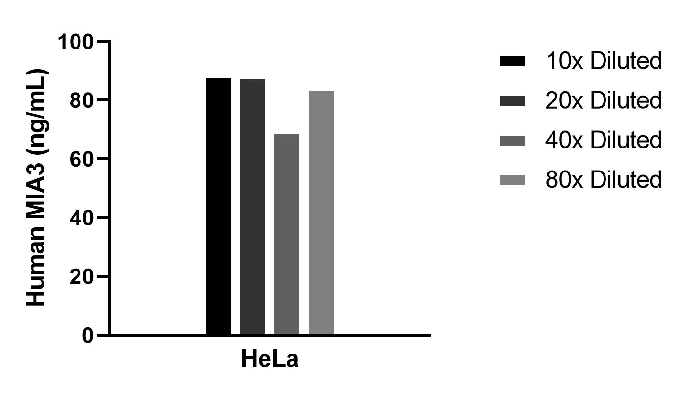 Cytometric bead array sample test of MP02435-1