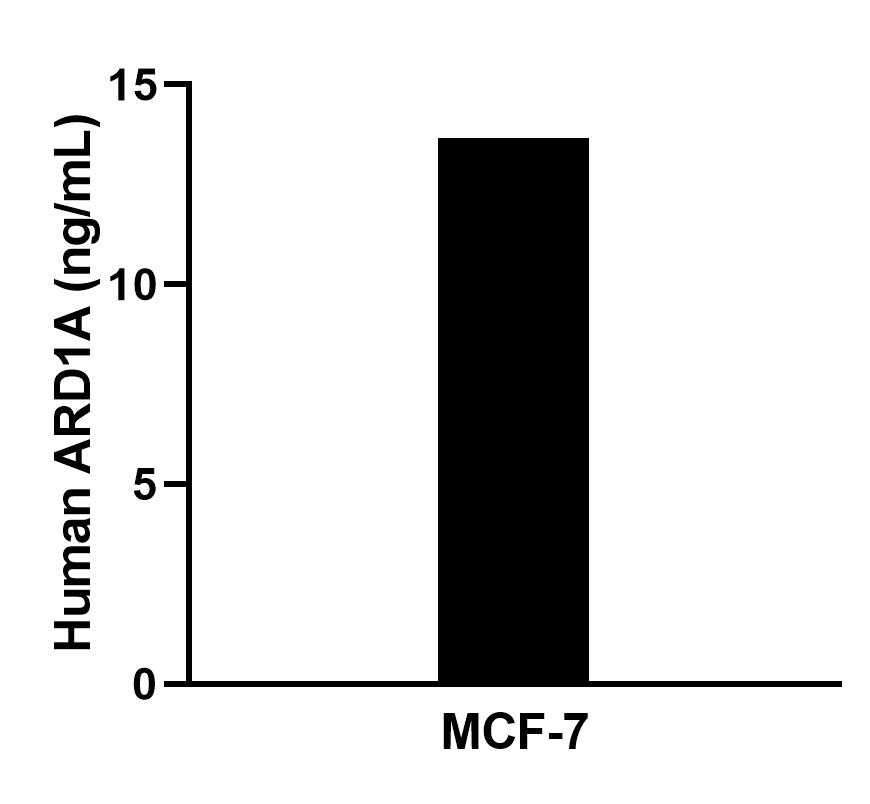 Cytometric bead array sample test of MP02442-1