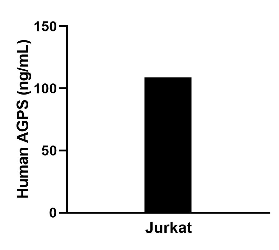 Cytometric bead array sample test of MP02459-1
