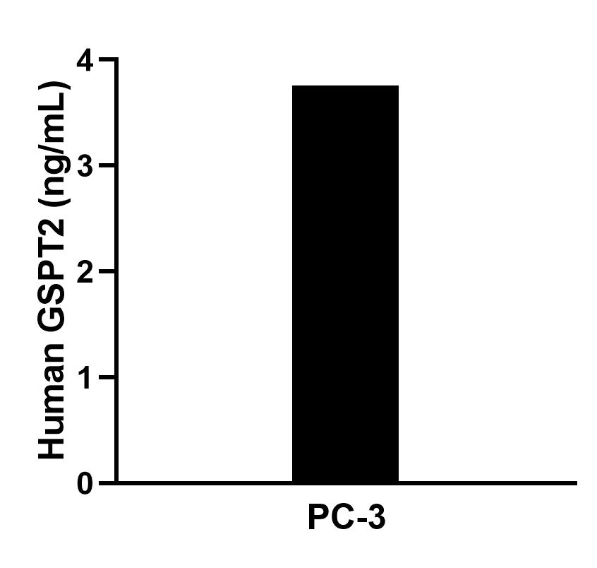 Cytometric bead array sample test of MP02477-1 Cytometric bead array sample test of MP02477-1