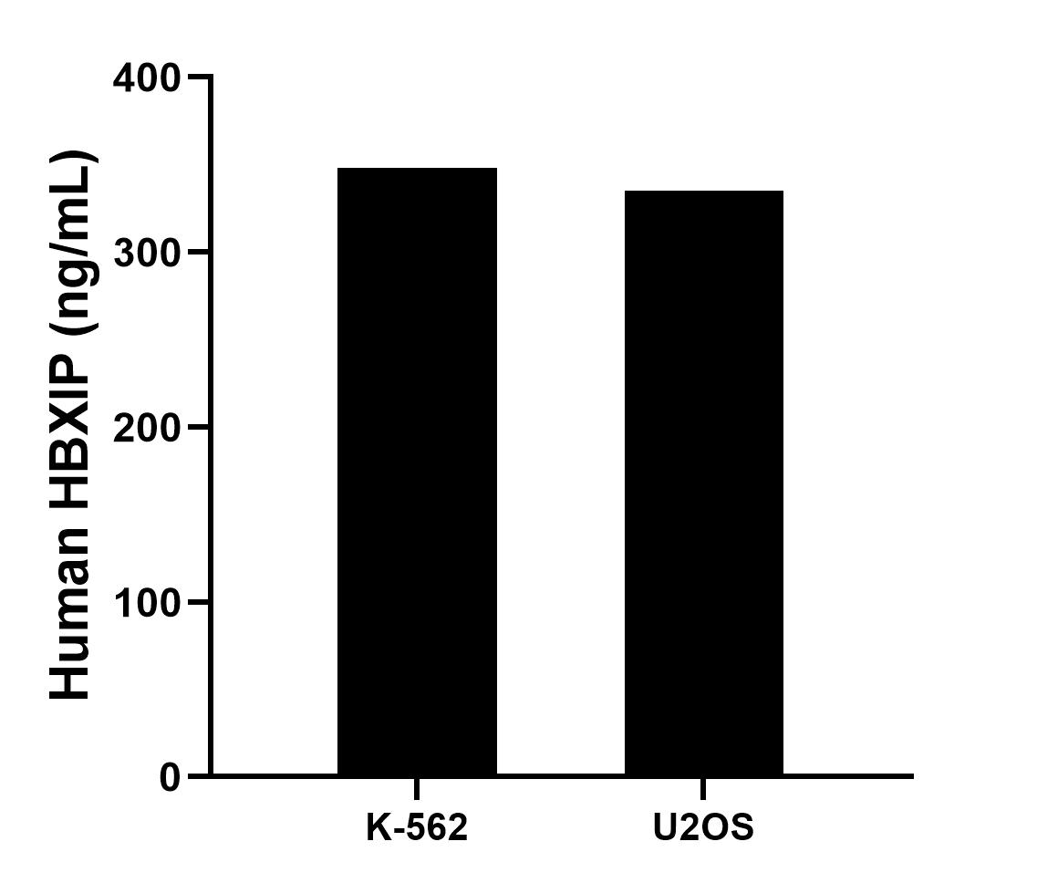 Cytometric bead array sample test of MP02485-1