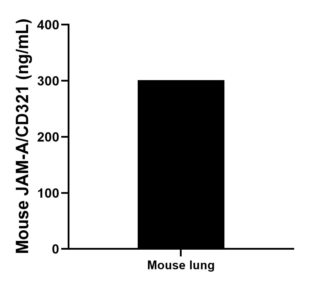 The mean JAM-A/CD321 concentration was determined to be 301.19 ng/mL in mouse lung tissue extract based on a 5.3 mg/mL extract load.