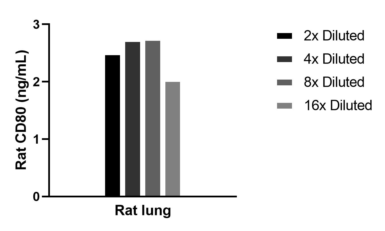 The mean CD80 concentration was determined to be 2.5 ng/mL in Rat iung tissue extract based on a 5.2 mg/mL extract load.