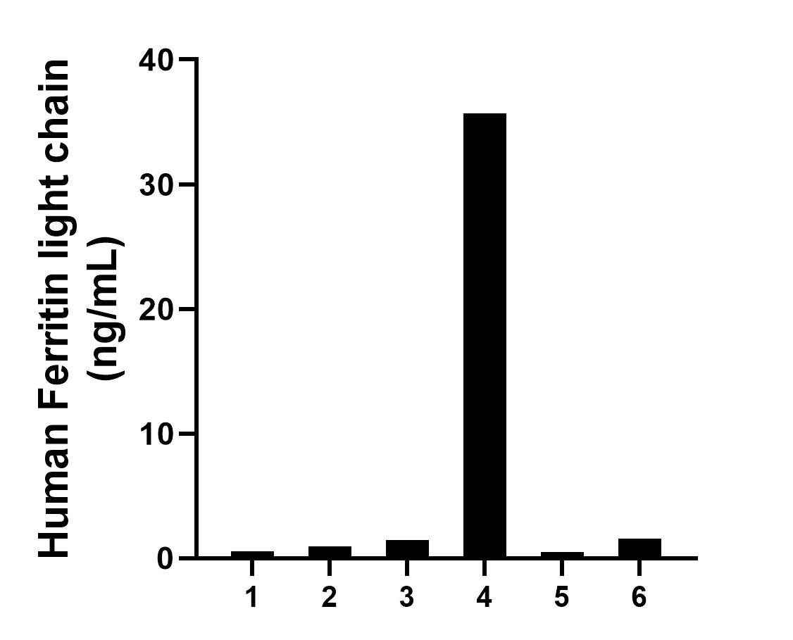Sandwich ELISA sample test of MP02505-1
