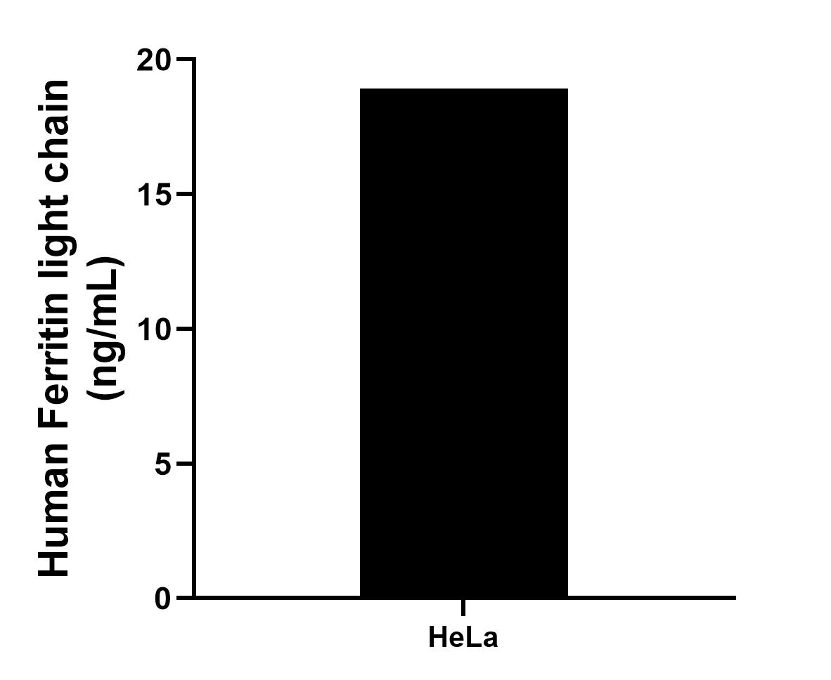 Sandwich ELISA sample test of MP02505-1