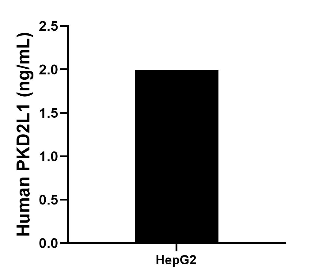The mean PKD2L1 concentration was determined to be 1.99 ng/mL in HepG2 cell extract based on a 1.10 mg/mL extract load. Sandwich ELISA sample test of MP02508-1