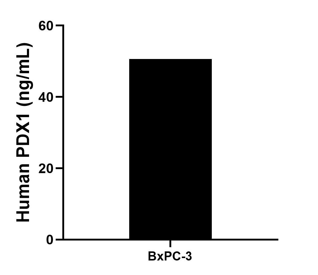 The mean PDX1 concentration was determined to be 50.66 ng/mL in BxPC-3 cell extract based on a 2.00 mg/mL extract load.