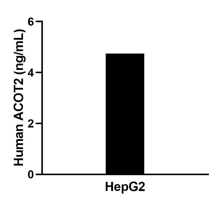 Cytometric bead array sample test of MP02522-1