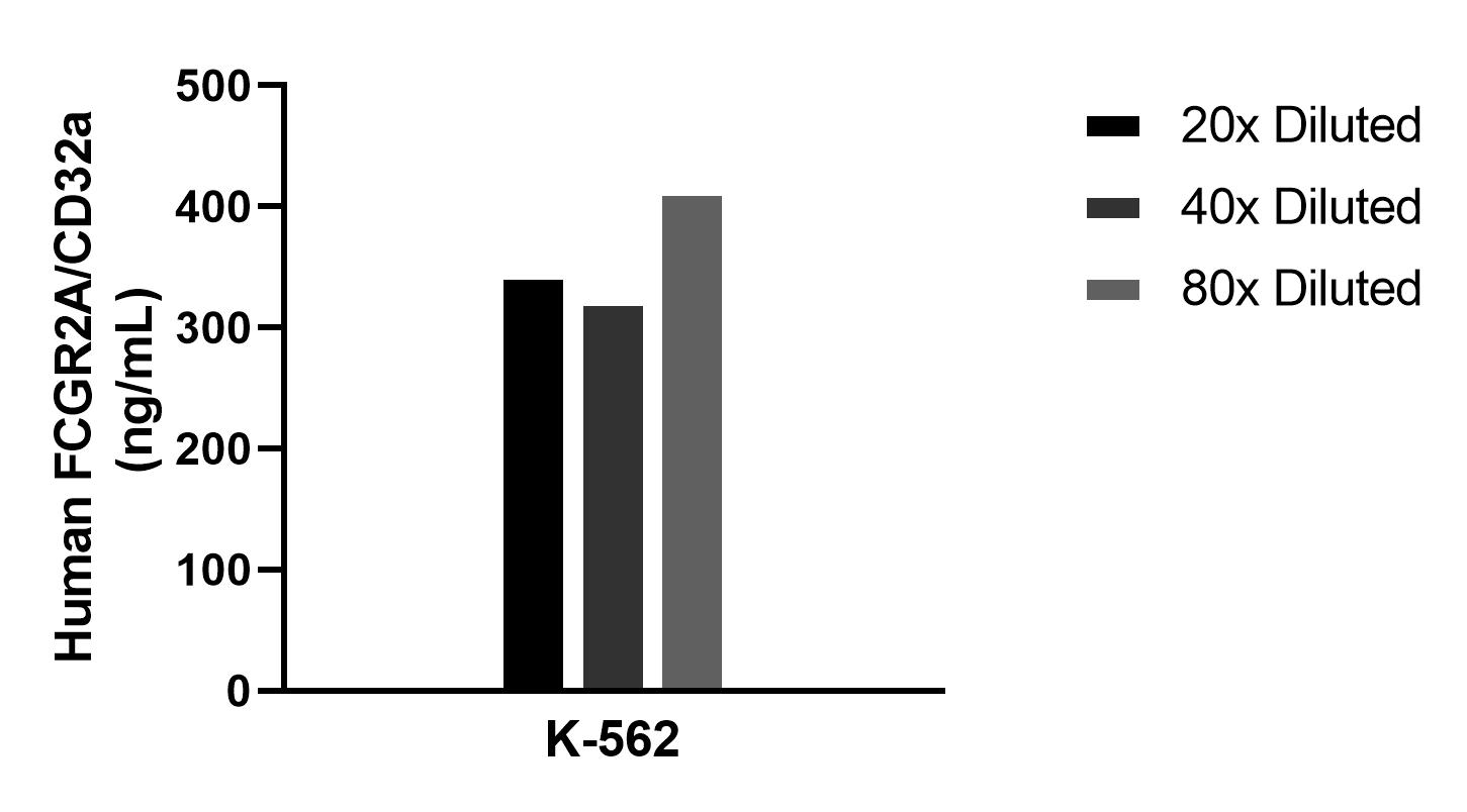 The mean FCGR2A / CD32a concentration was determined to be 360.3 ng/mL in K-562 cell extract based on a 1.2 mg/mL extract load. Cytometric bead array sample test of MP02532-1