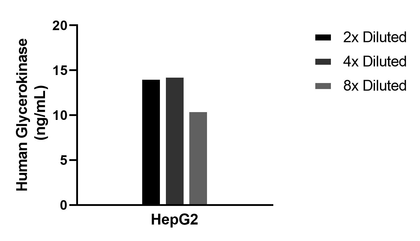 The mean Glycerokinase concentration was determined to be 13.0 ng/mL in HepG2 cell extract based on a 1.2 mg/mL extract load.