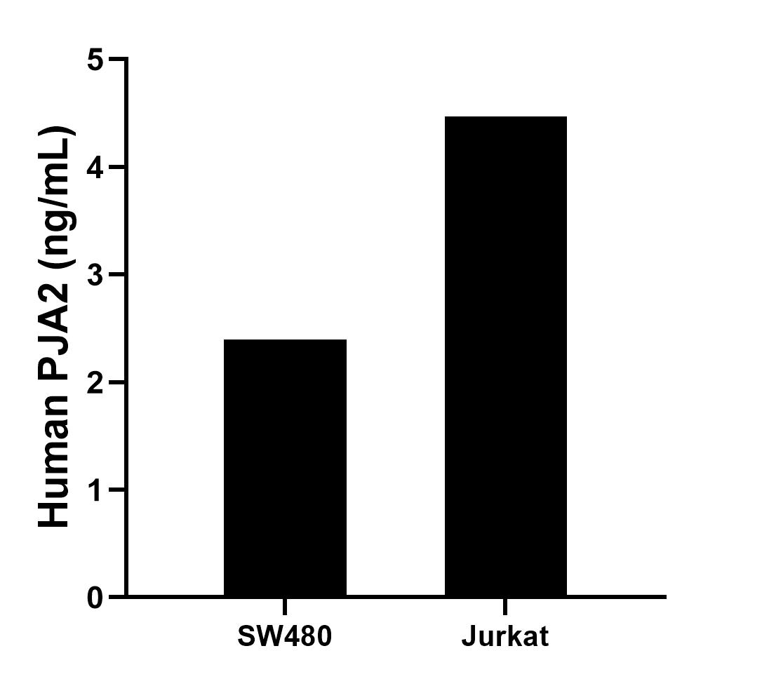 The mean PJA2 concentration was determined to be 2.40 ng/mL in SW480 cell extract based on a 3.0 mg/mL extract load and 4.47 ng/mL in Jurkat cell extract based on a 1.2 mg/mL extract load. Sandwich ELISA sample test of MP02550-1