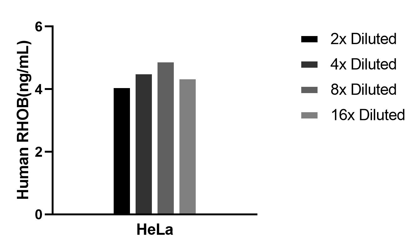 Cytometric bead array sample test of MP02581-1