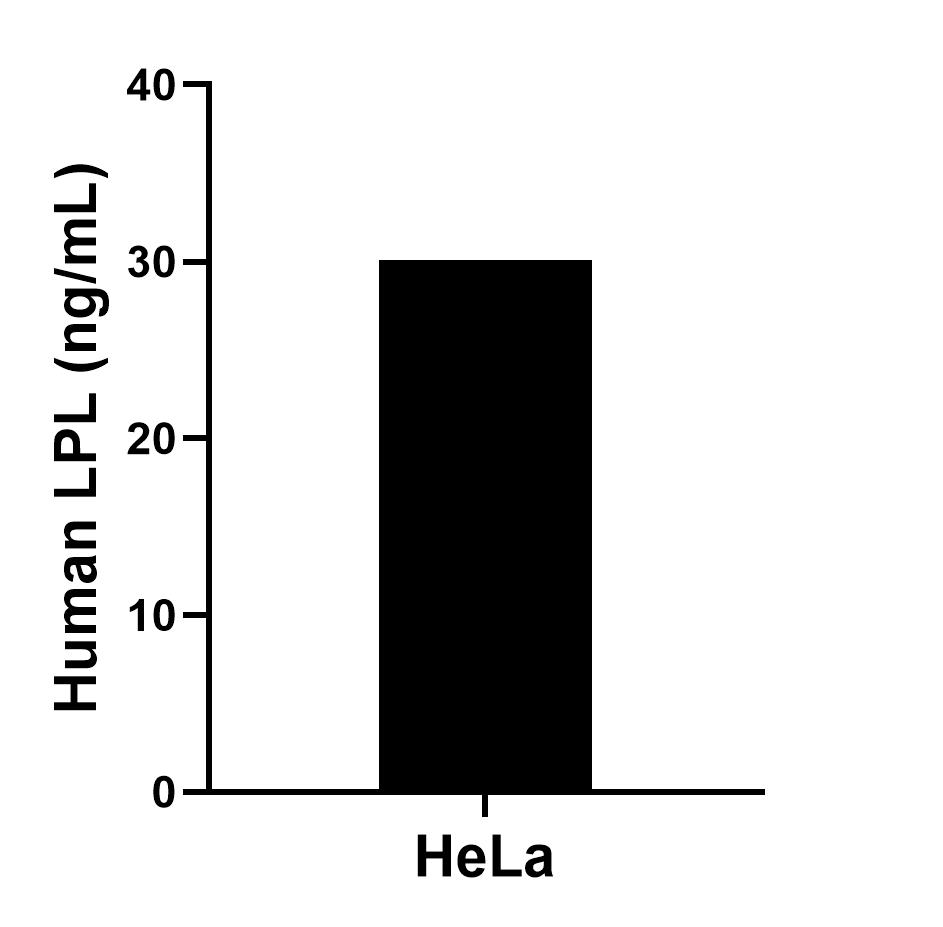Sandwich ELISA sample test of MP02594-1