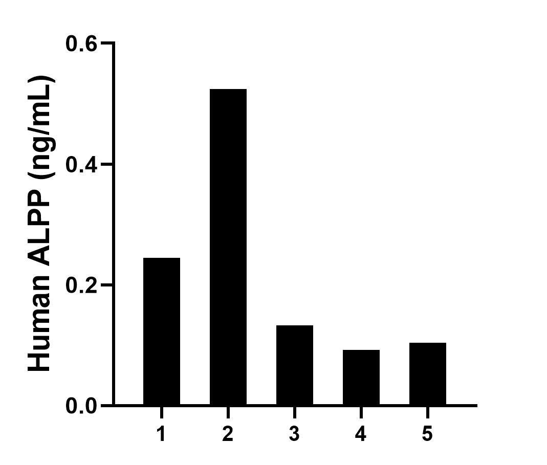 Plasma of five individual healthy human donors was measured. The human PLAP concentration of detected samples was determined to be 0.22 ng/mL with a range of 0.09 - 0.52 ng/mL.