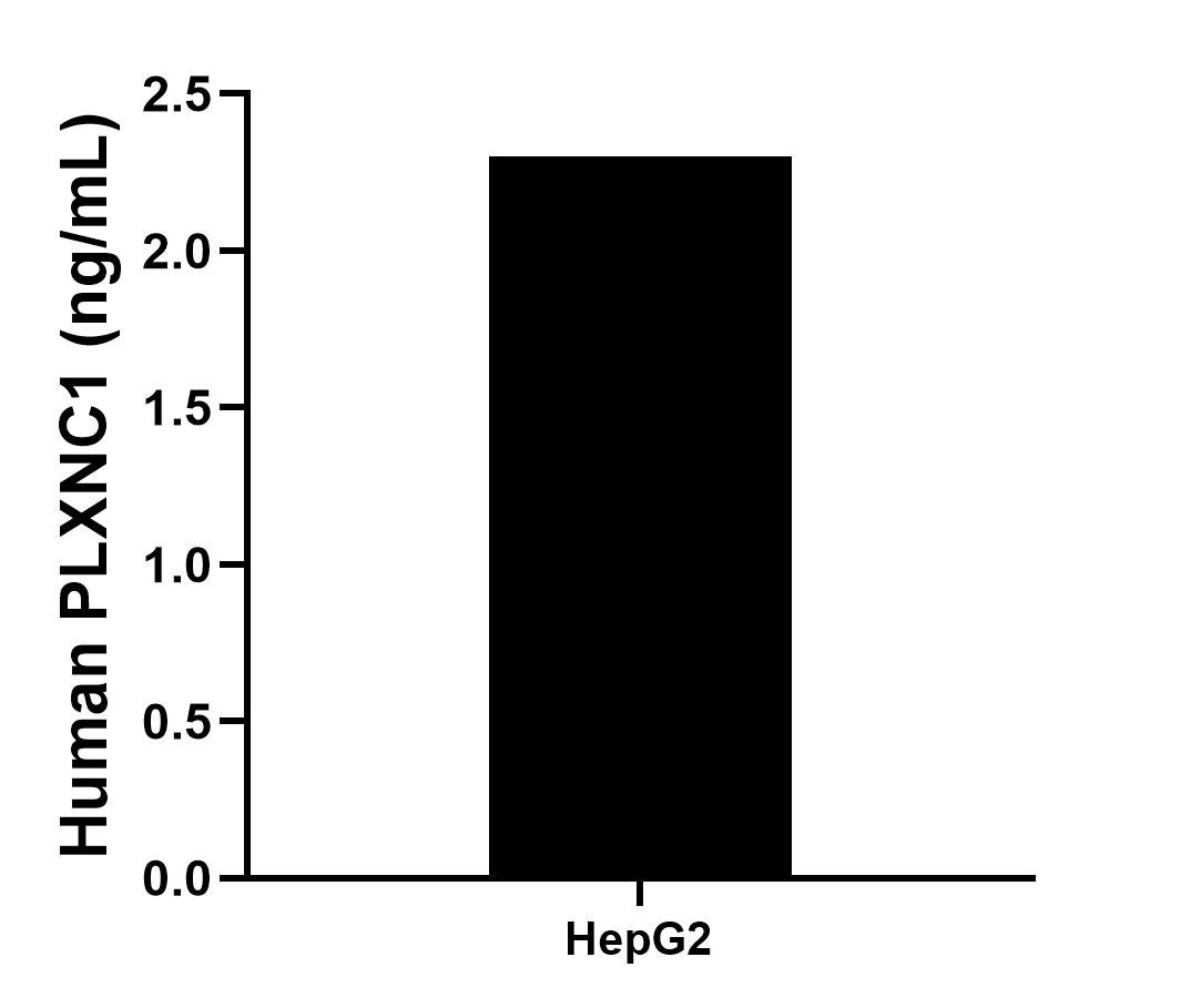 The mean PLXNC1 concentration was determined to be 2.30 ng/mL in HepG2 cell extract based on a 1.20 mg/mL extract load.