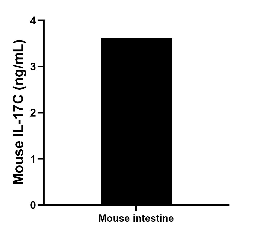 The mean IL-17C concentration was determined to be 3.61 ng/mL in mouse intestine tissue extract based on a 4.8 mg/mL extract load.