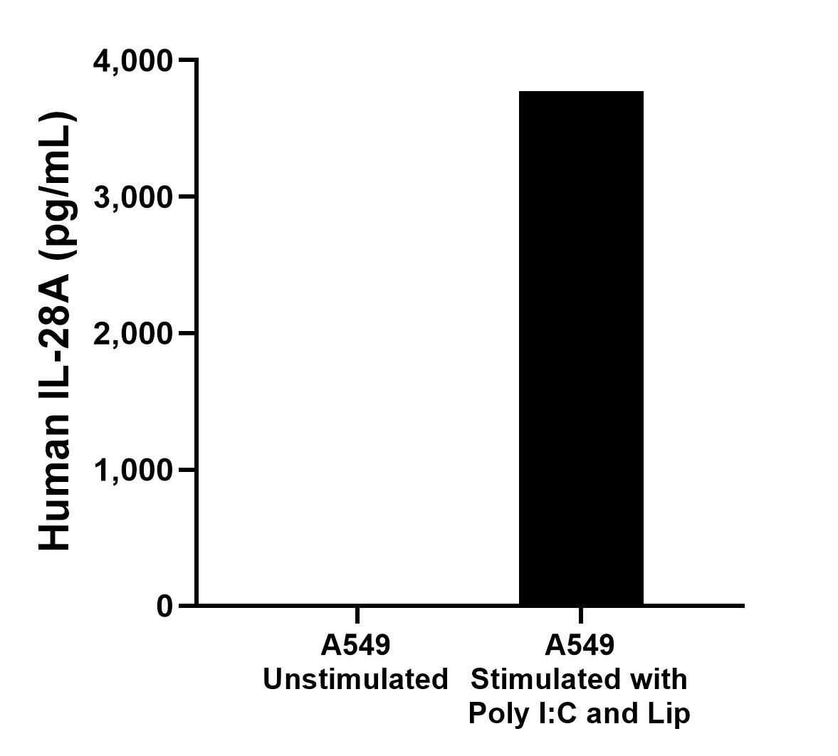 A549 cells were cultured unstimulated or stimulated with 10 μg/mL Poly I:C and 5 μg/mL Lip for 1 day. The mean IL-28A concentration was undetectable in unstimulated supernatant, 3,774.2 pg/mL in stimulated supernatant. 