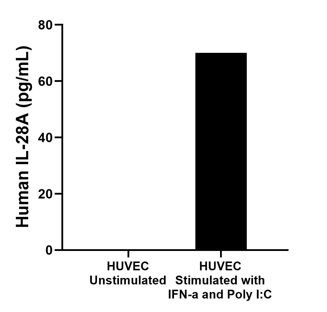 HUVEC cells were cultured unstimulated or stimulated with 100 ng/mL IFN-a and 10 μg/mL Poly I:C for 3 hours. The mean IL-28A concentration was undetectable in unstimulated supernatant, 70.0 pg/mL in stimulated supernatant. 