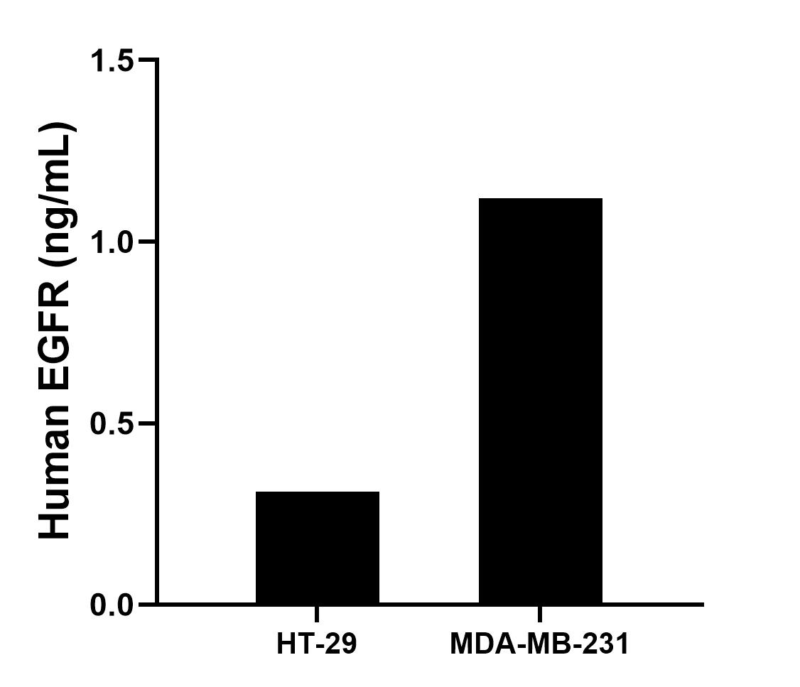 Sample test of MP50069-1