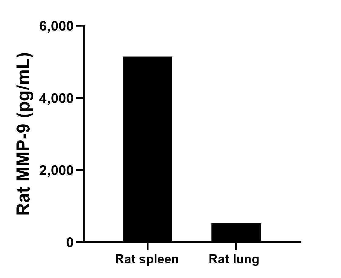 Rat spleen and lung tissues from one adult rat (chopped in 1-2 mm pieces in 30 mL of medium) were cultured in RPMI supplemented with 10% fetal bovine serum and 50 μM β-mercaptoethanol. Aliquots of the cell culture supernates were removed, assayed for levels of rat MMP-9, and measured 5,145.7 pg/mL and 540.2 pg/mL, respectively.