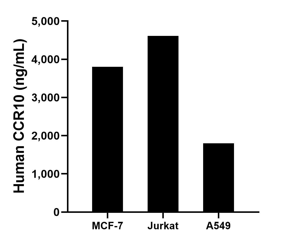The mean CCR10 concentration was determined to be 3,805.97 ng/mL in MCF-7 cell extract based on a 1.3 mg/mL extract load, 4,613.54 ng/mL in Jurkat cell extract based on a 1.9 mg/mL extract load and 1,804.16 ng/mL in A549 cell extract based on a 3.1 mg/mL extract load.