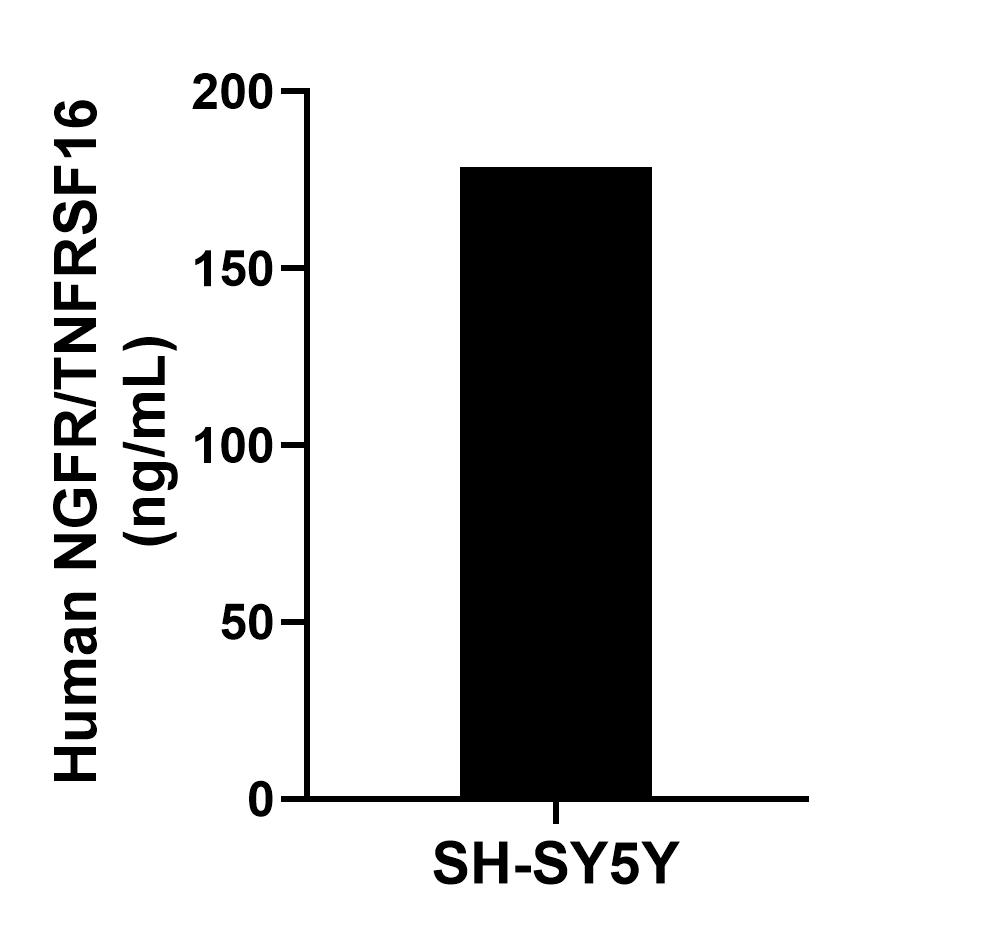Sample test of MP51068-2