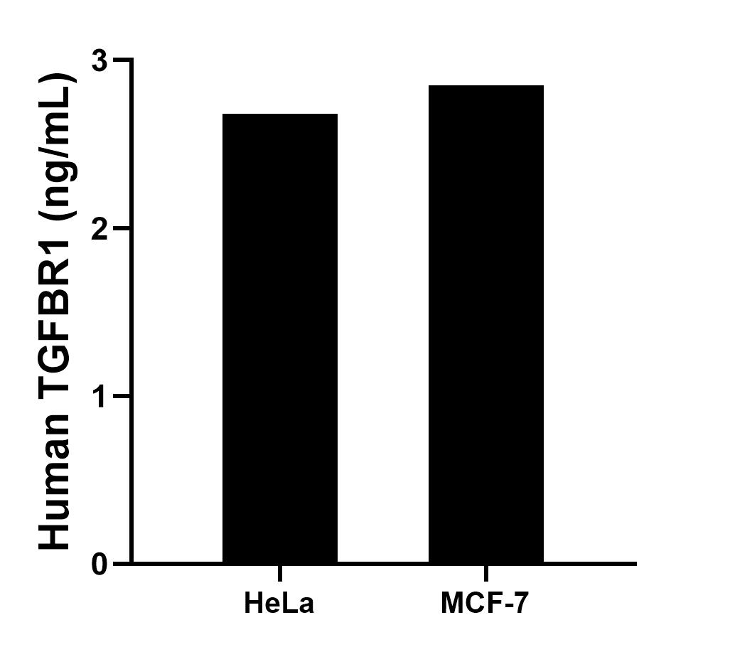 Sample test of MP51081-2
