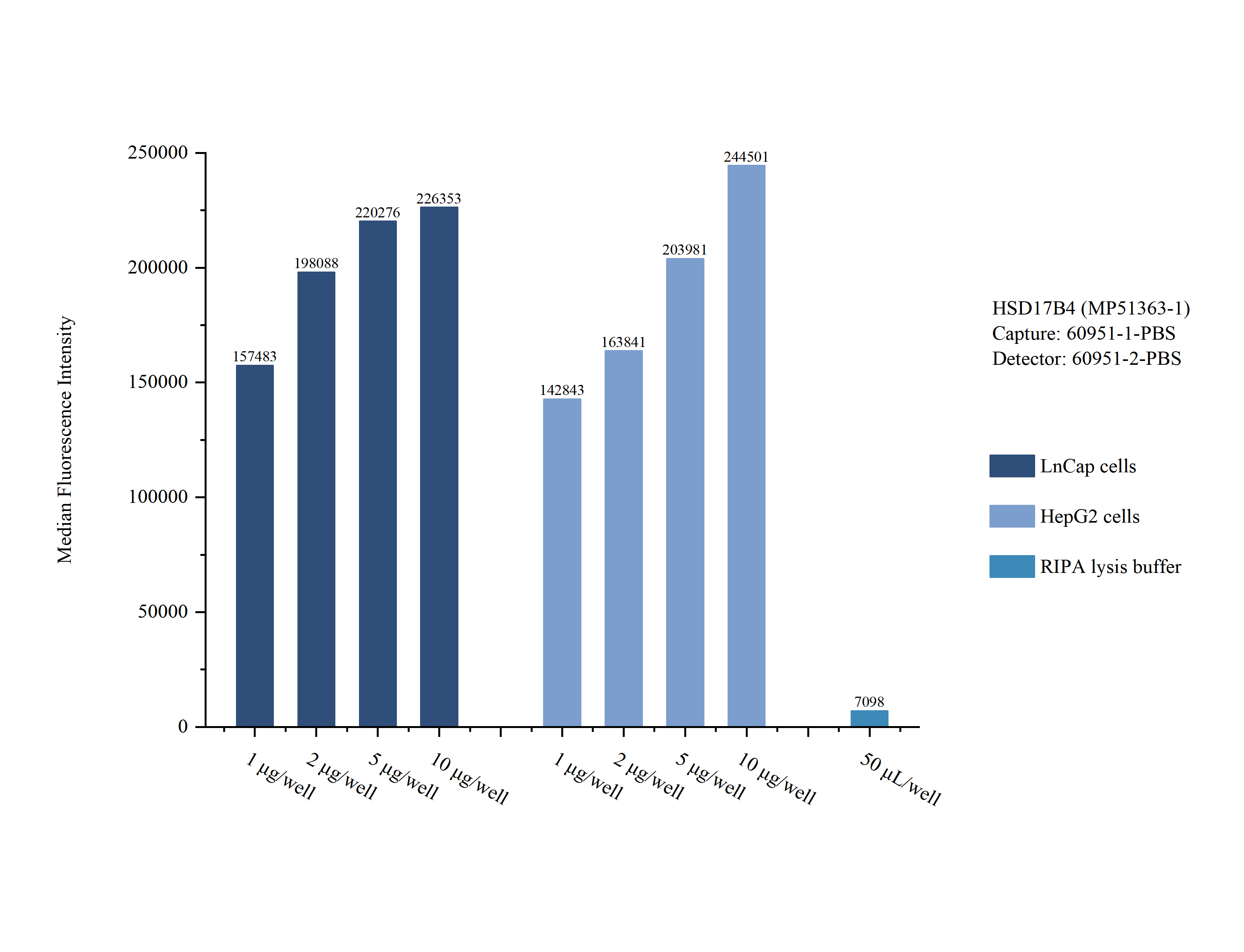 Sample test of MP51363-1, HSD17B4 Monoclonal Matched Antibody Pair, PBS Only. Capture antibody: 60951-1-PBS. Detection antibody: 60951-2-PBS. Sample test of MP51363-1, HSD17B4 Monoclonal Matched Antibody Pair, PBS Only. Capture antibody: 60951-1-PBS. Detection antibody: 60951-2-PBS.