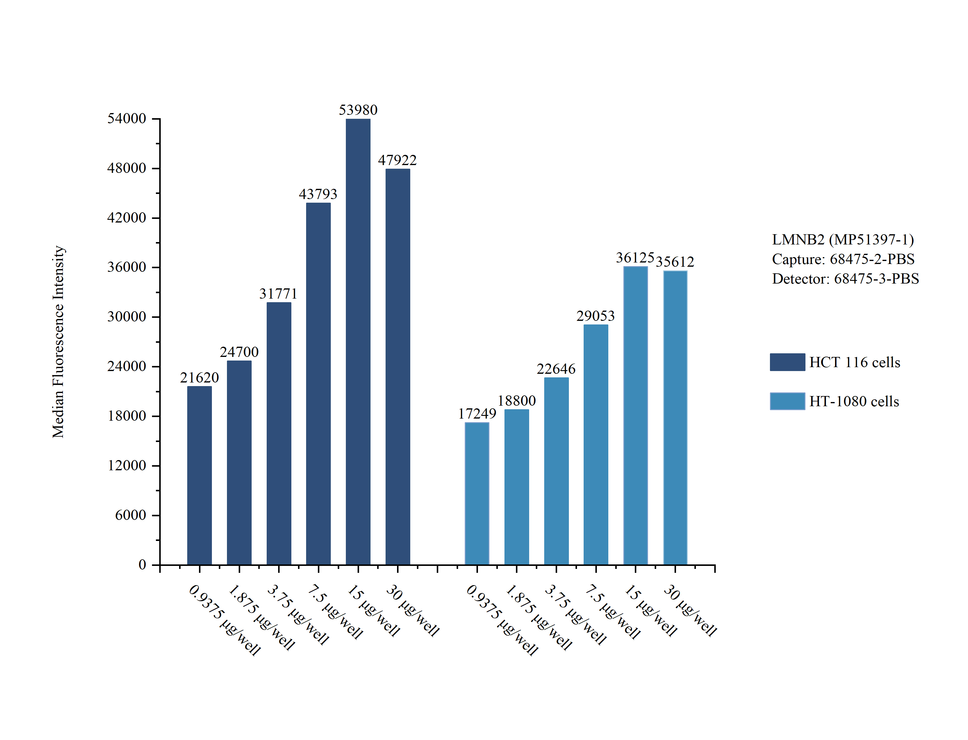 Sample test of <a class='green' href='/productredirect?CatalogNo=MP51397-1' target='_blank'>MP51397-1</a>, LMNB2 Monoclonal Matched Antibody Pair, PBS Only. Capture antibody: <a class='green' href='/productredirect?CatalogNo=68475-2-PBS' target='_blank'>68475-2-PBS</a>. Detection antibody: 68475-3-PBS. Cytometric bead array sample test of MP51397-1