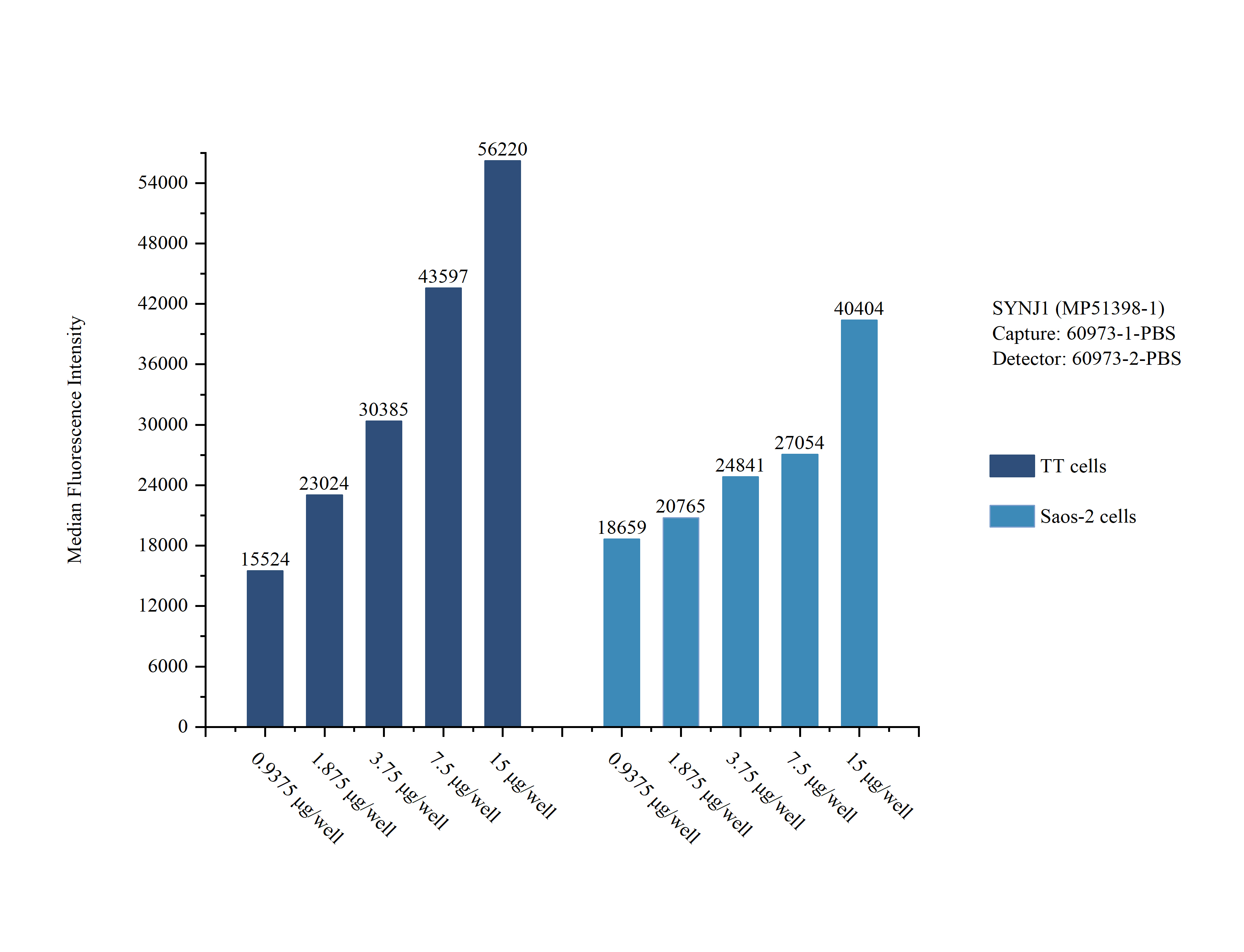 Sample test of <a class='green' href='/productredirect?CatalogNo=MP51398-1' target='_blank'>MP51398-1</a>, SYNJ1 Monoclonal Matched Antibody Pair, PBS Only. Capture antibody: 60973-1-PBS. Detection antibody: <a class='green' href='/productredirect?CatalogNo=60973-2-PBS' target='_blank'>60973-2-PBS</a>. Sample test of MP51398-1