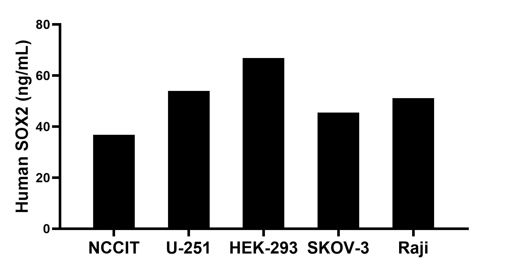 Sandwich ELISA sample test of MP00077-3 Sandwich ELISA sample test of MP00077-3
