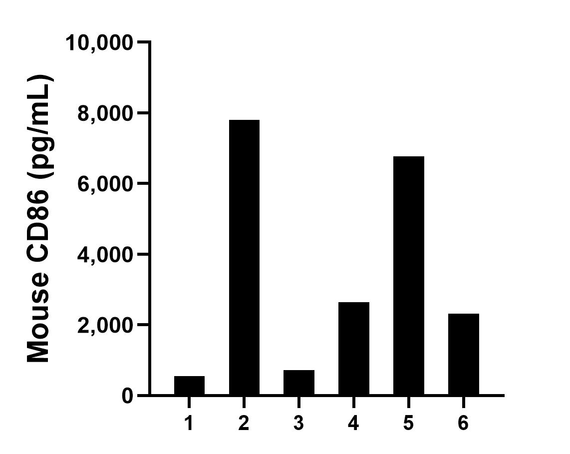 Serum of six mice was measured. The CD86 concentration of detected samples was determined to be 3,467.1 pg/mL with a range of 550.4-7,806.3 pg/mL. Serum of six mice was measured. The CD86 concentration of detected samples was determined to be 3,467.1 pg/mL with a range of 550.4-7,806.3 pg/mL.