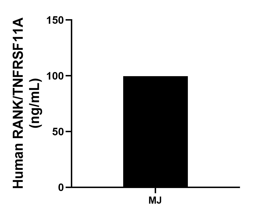 The mean RANK/TNFRSF11A concentration was determined to be 99.57 ng/mL in MJ cell extract based on a 1.20 mg/mL extract load. The mean RANK/TNFRSF11A concentration was determined to be 99.57 ng/mL in MJ cell extract based on a 1.20 mg/mL extract load.